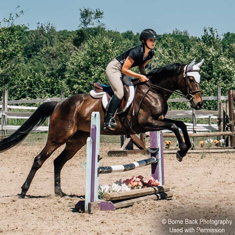 Creekside Equicenter Hunters and Jumpers at horse show in Walkerton, Indiana
